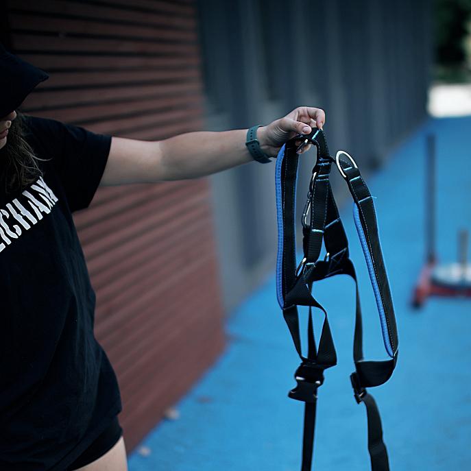 Pulling harness